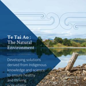 TeTaiAo_web.jpg
