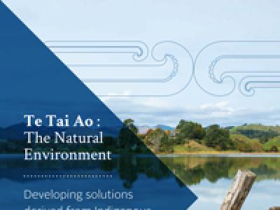 TeTaiAo_web.jpg